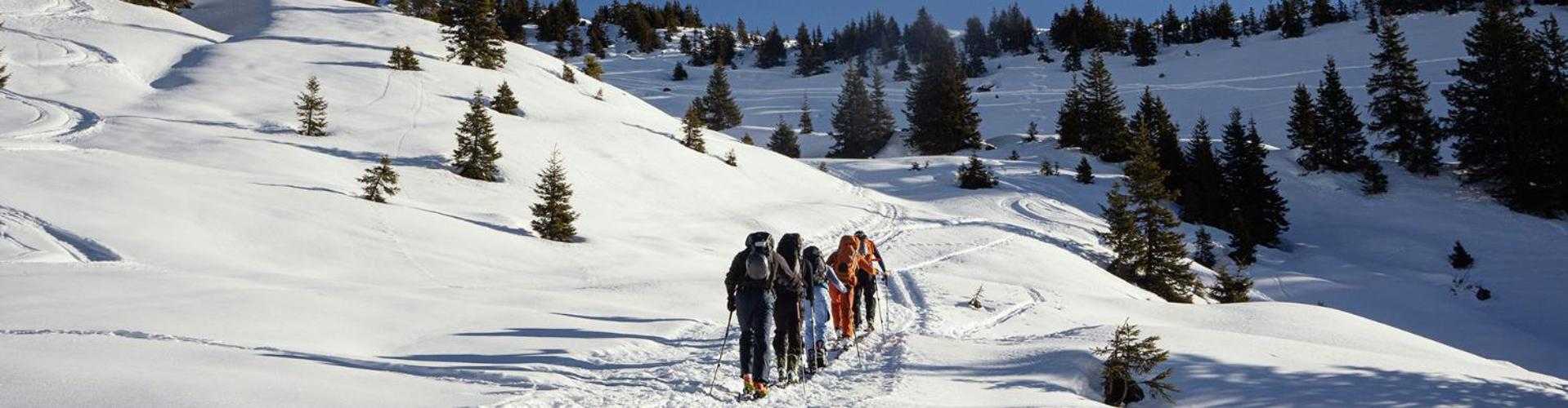 Bed And Breakfast - Die Aelplersuit Fuer Backpackers Im Berghuesli Linthal Exterior foto
